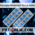 Kamagra Seulement De La Gelée 23